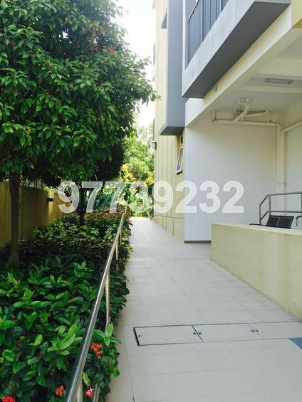 Eastwood Regency (D16), Apartment #120749422